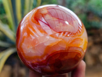 Polished Carnelian Spheres x 2 From Madagascar
