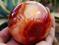 Polished Carnelian Spheres x 2 From Madagascar