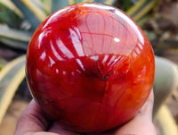 Polished Carnelian Spheres x 2 From Madagascar
