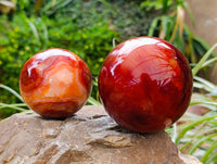 Polished Carnelian Spheres x 2 From Madagascar