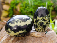 Polished Leopard Stone Free Forms x 12 From Nyanga, Zimbabwe