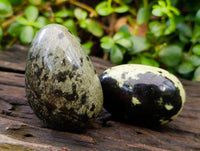 Polished Leopard Stone Free Forms x 12 From Nyanga, Zimbabwe