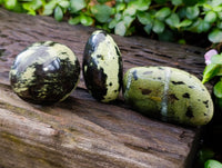 Polished Leopard Stone Free Forms x 12 From Nyanga, Zimbabwe