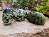 Polished Leopard Stone Free Forms x 12 From Nyanga, Zimbabwe
