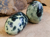 Polished Leopard Stone Free Forms x 12 From Nyanga, Zimbabwe