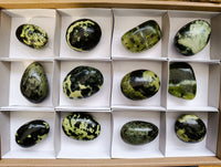 Polished Leopard Stone Free Forms x 12 From Nyanga, Zimbabwe