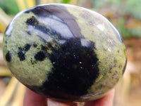 Polished Leopard Stone Free Forms x 12 From Nyanga, Zimbabwe
