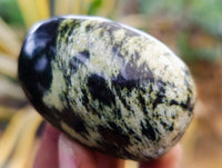 Polished Leopard Stone Free Forms x 12 From Nyanga, Zimbabwe