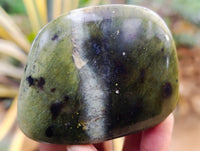 Polished Leopard Stone Free Forms x 12 From Nyanga, Zimbabwe