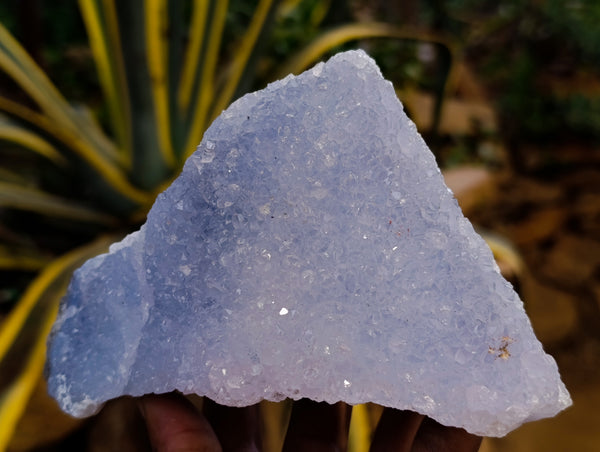 Natural Blue Lace Agate Geode Specimens x 6 From Nsanje, Malawi