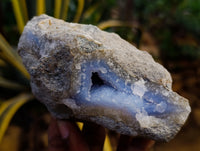 Natural Blue Lace Agate Geode Specimens x 6 From Nsanje, Malawi