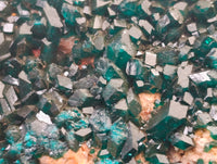 Natural Dioptase Cabinet Specimens x 2 From Likasi, Congo