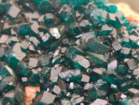 Natural Dioptase Cabinet Specimens x 2 From Likasi, Congo
