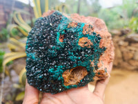 Natural Dioptase Cabinet Specimens x 2 From Likasi, Congo