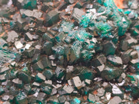 Natural Dioptase Cabinet Specimens x 2 From Likasi, Congo