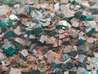 Natural Dioptase Cabinet Specimens x 2 From Likasi, Congo