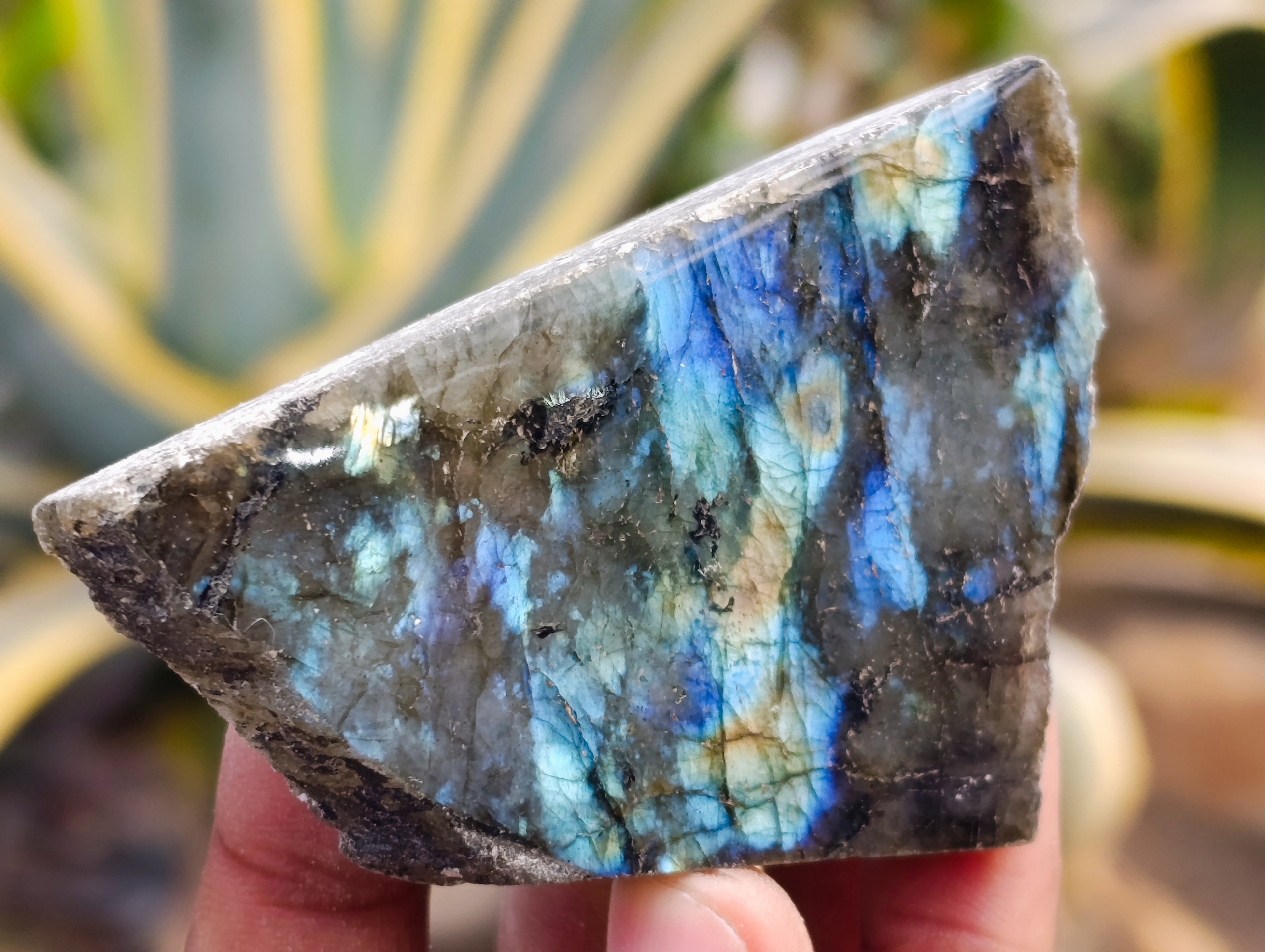 Polished on One Side Labradorite Slices x 24 From Tulear, Madagascar - Toprock Gemstones and Minerals 