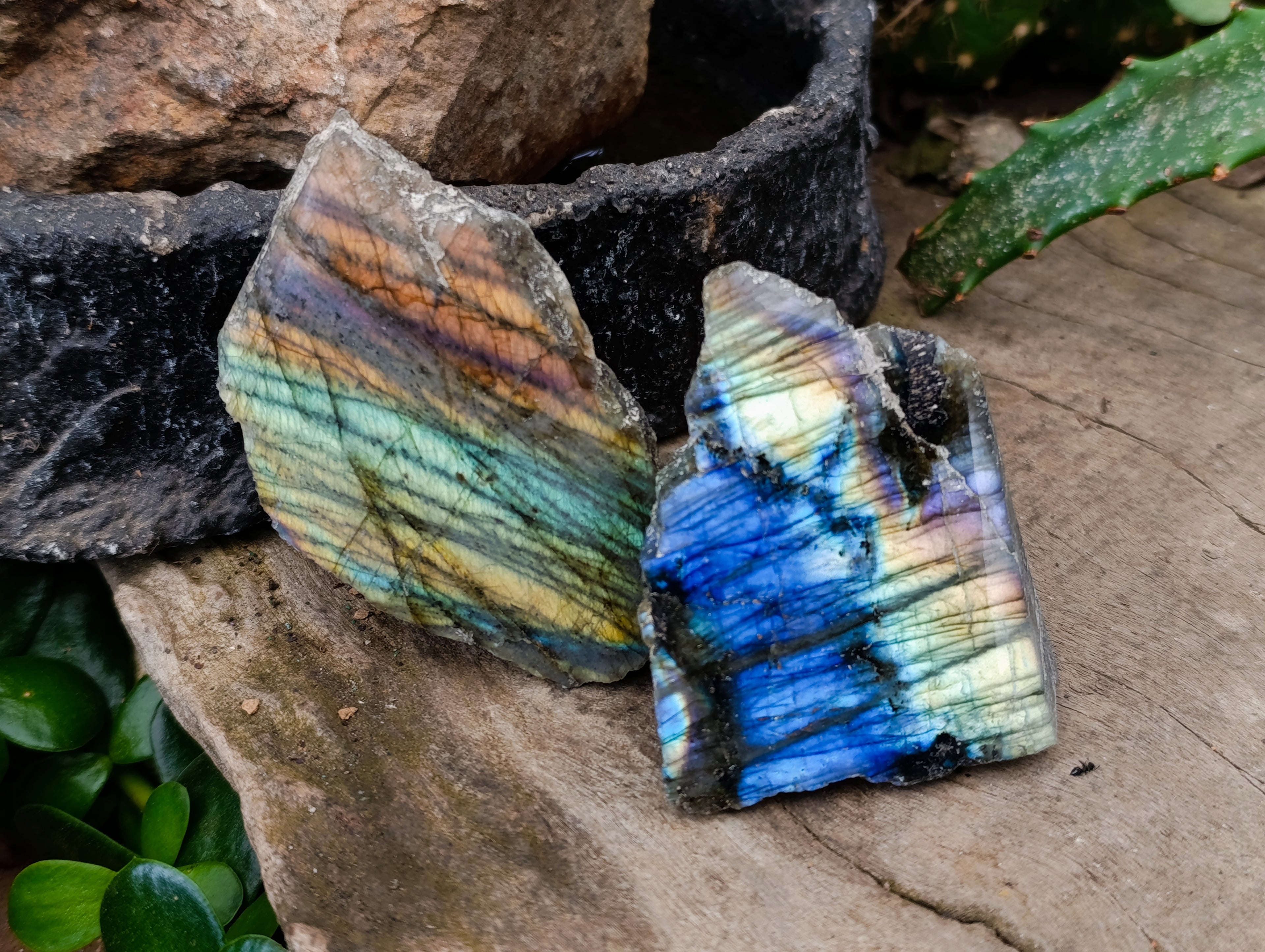 Polished on One Side Labradorite Slices x 24 From Tulear, Madagascar - Toprock Gemstones and Minerals 