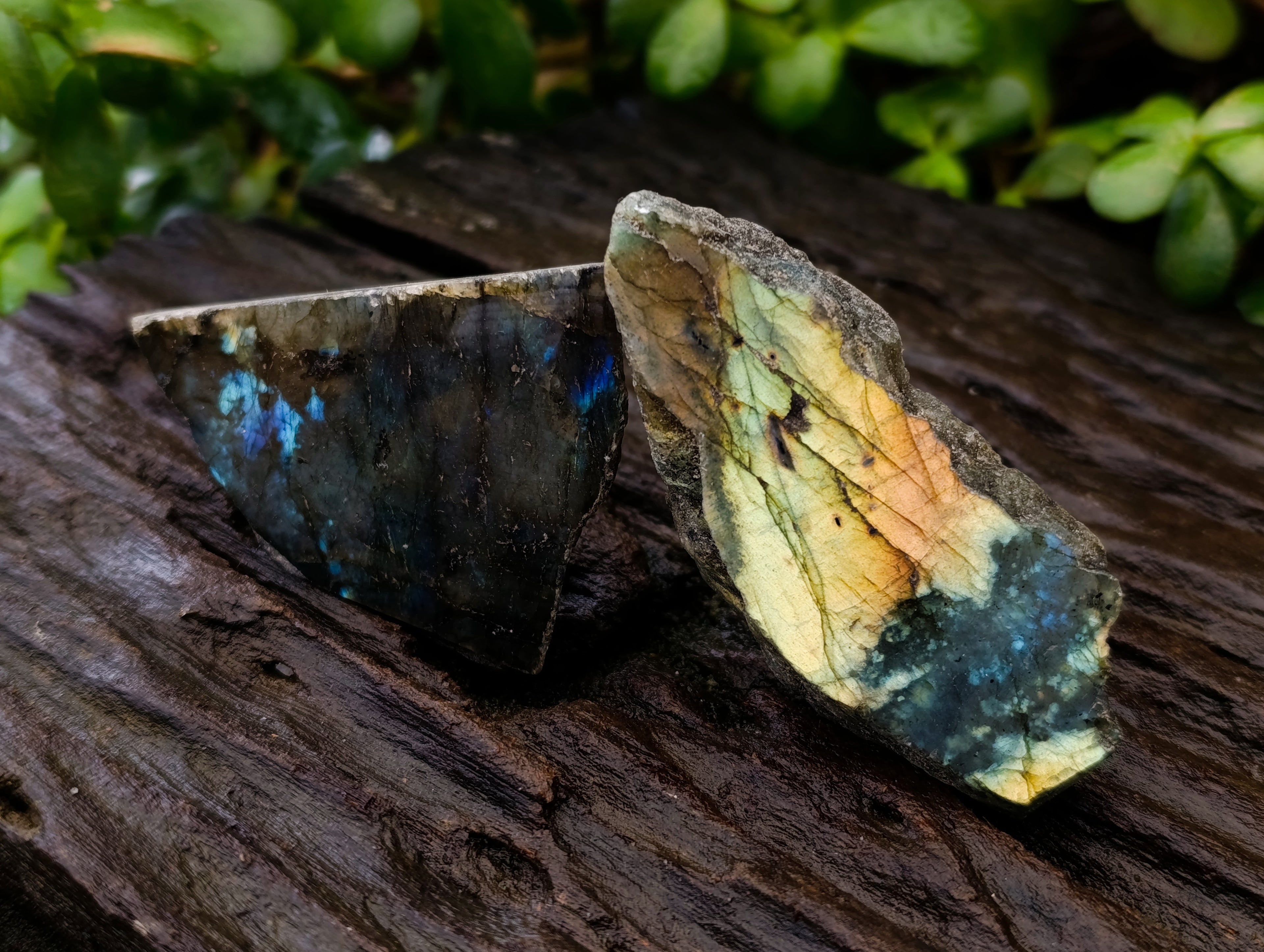 Polished on One Side Labradorite Slices x 24 From Tulear, Madagascar - Toprock Gemstones and Minerals 