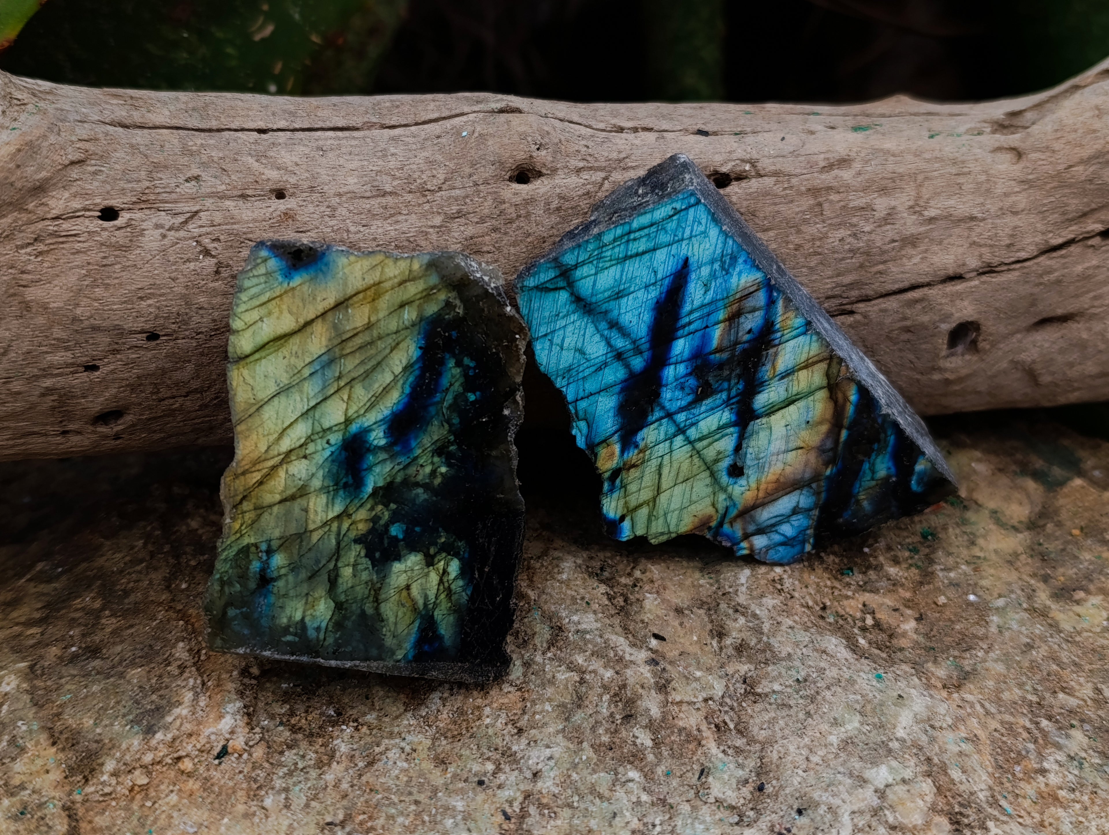 Polished on One Side Labradorite Slices x 24 From Tulear, Madagascar - Toprock Gemstones and Minerals 
