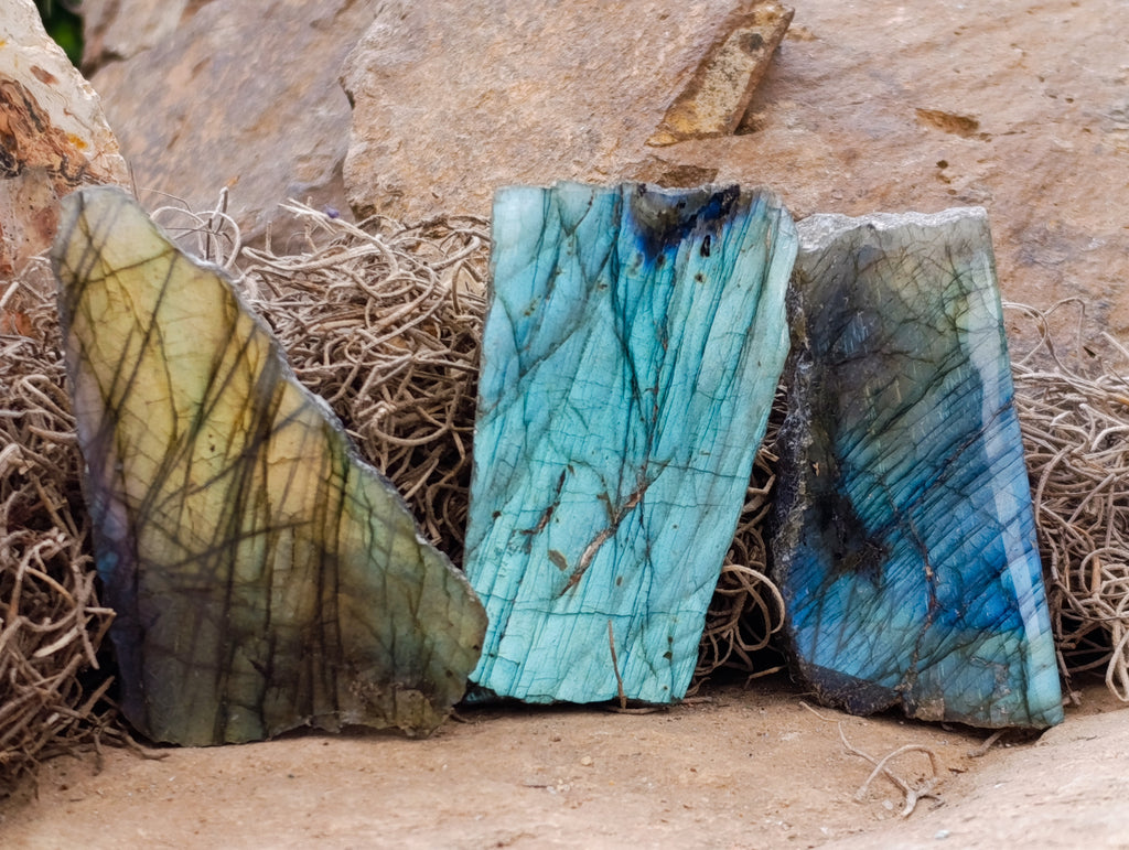 Polished on One Side Labradorite Slices x 24 From Tulear, Madagascar - Toprock Gemstones and Minerals 