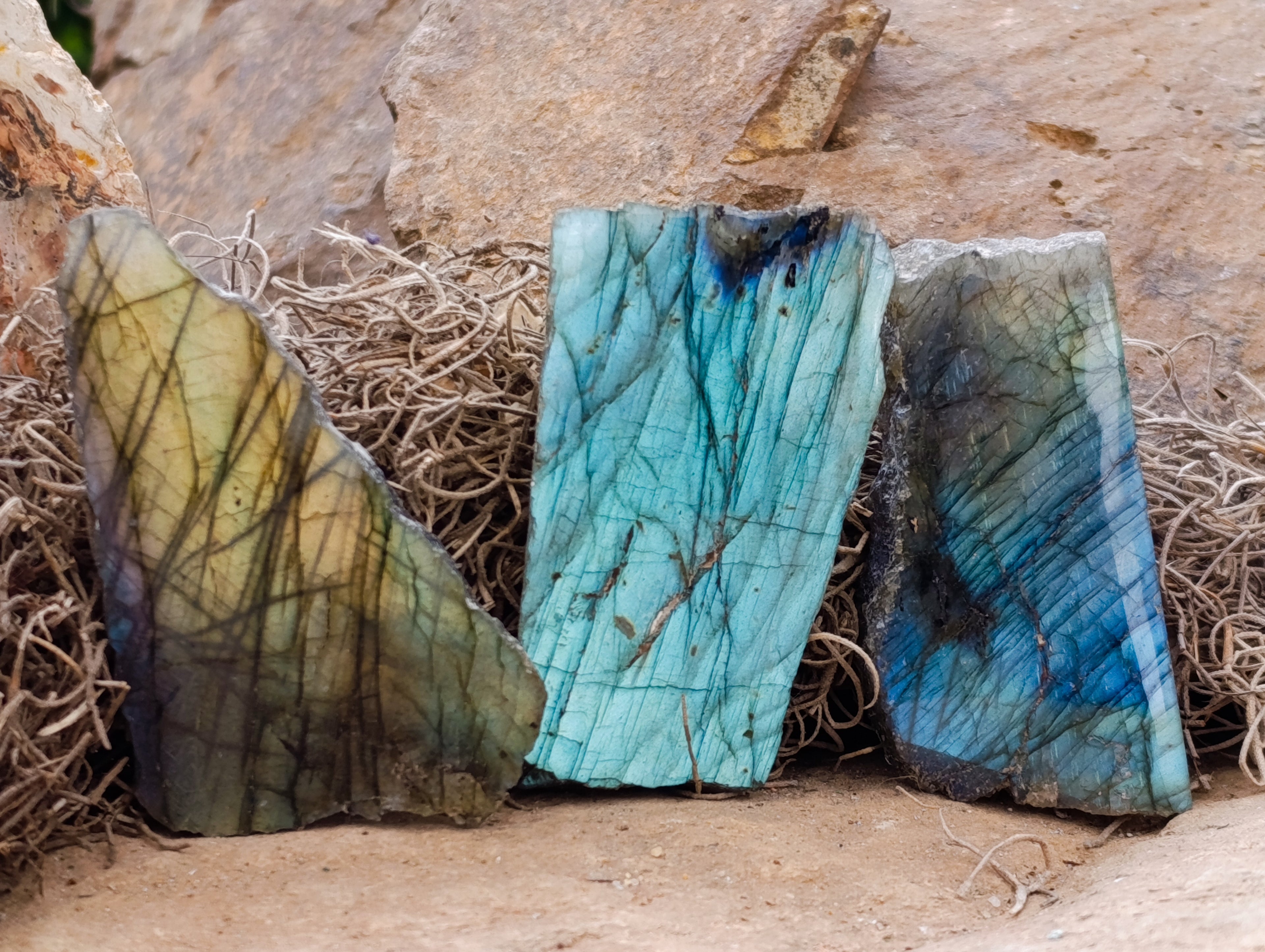 Polished on One Side Labradorite Slices x 24 From Tulear, Madagascar - Toprock Gemstones and Minerals 