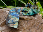 Polished on One Side Labradorite Slices x 24 From Tulear, Madagascar - Toprock Gemstones and Minerals 