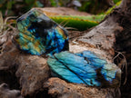 Polished on One Side Labradorite Slices x 24 From Tulear, Madagascar - Toprock Gemstones and Minerals 