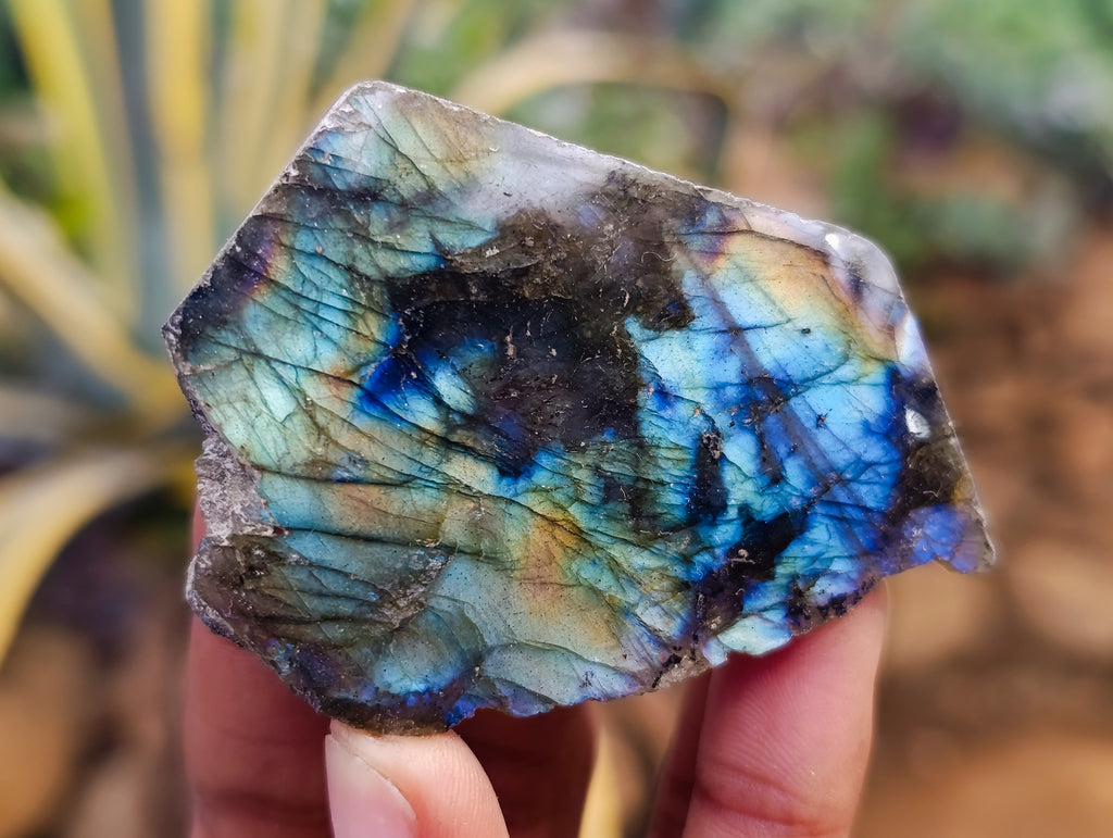 Polished on One Side Labradorite Slices x 24 From Tulear, Madagascar - Toprock Gemstones and Minerals 