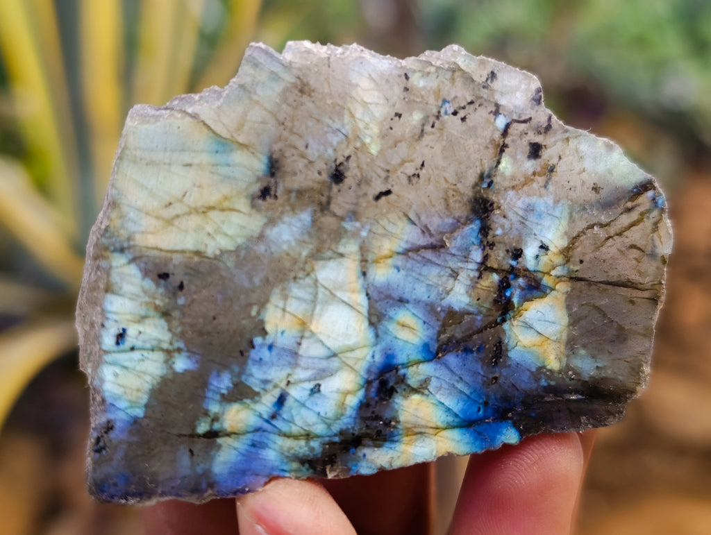 Polished on One Side Labradorite Slices x 24 From Tulear, Madagascar - Toprock Gemstones and Minerals 