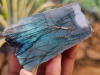 Polished on One Side Labradorite Slices x 24 From Tulear, Madagascar - Toprock Gemstones and Minerals 