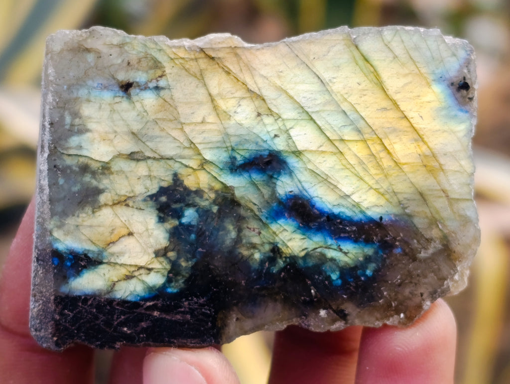 Polished on One Side Labradorite Slices x 24 From Tulear, Madagascar - Toprock Gemstones and Minerals 