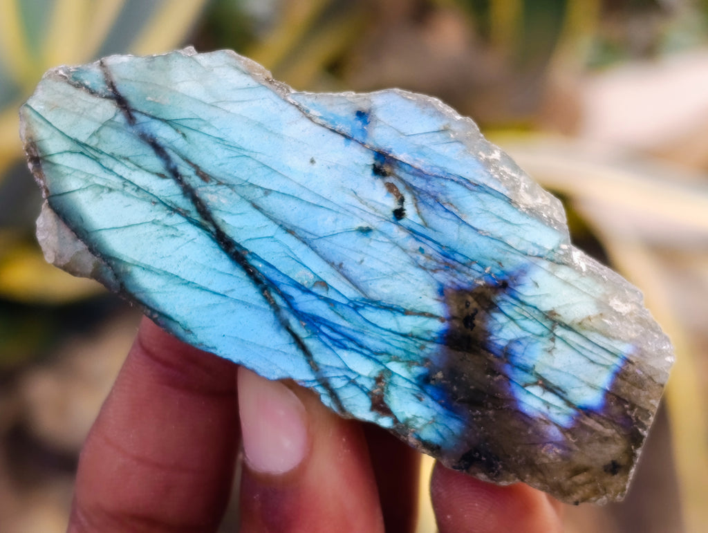 Polished on One Side Labradorite Slices x 24 From Tulear, Madagascar - Toprock Gemstones and Minerals 