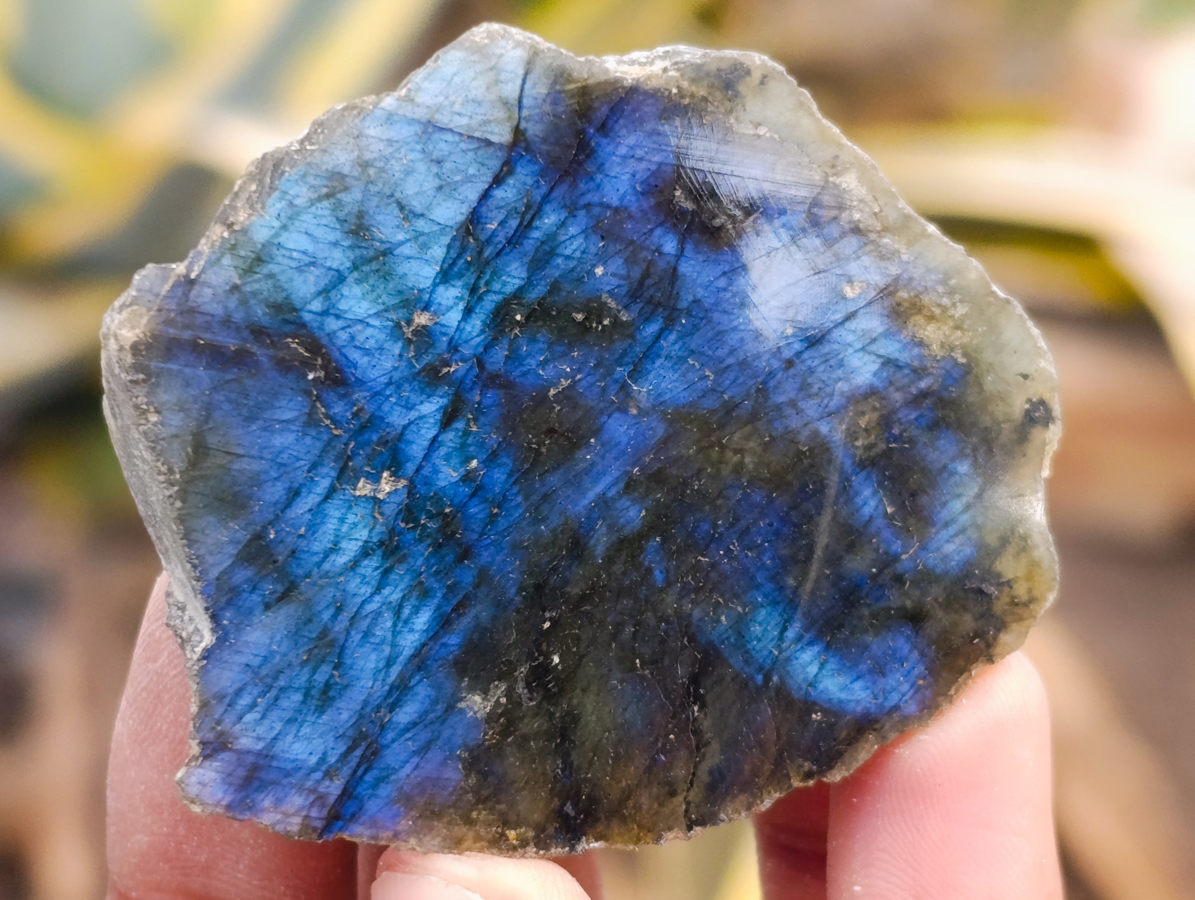 Polished on One Side Labradorite Slices x 24 From Tulear, Madagascar - Toprock Gemstones and Minerals 