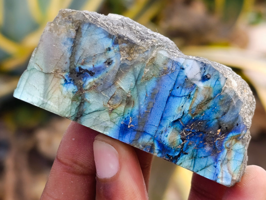 Polished on One Side Labradorite Slices x 24 From Tulear, Madagascar - Toprock Gemstones and Minerals 