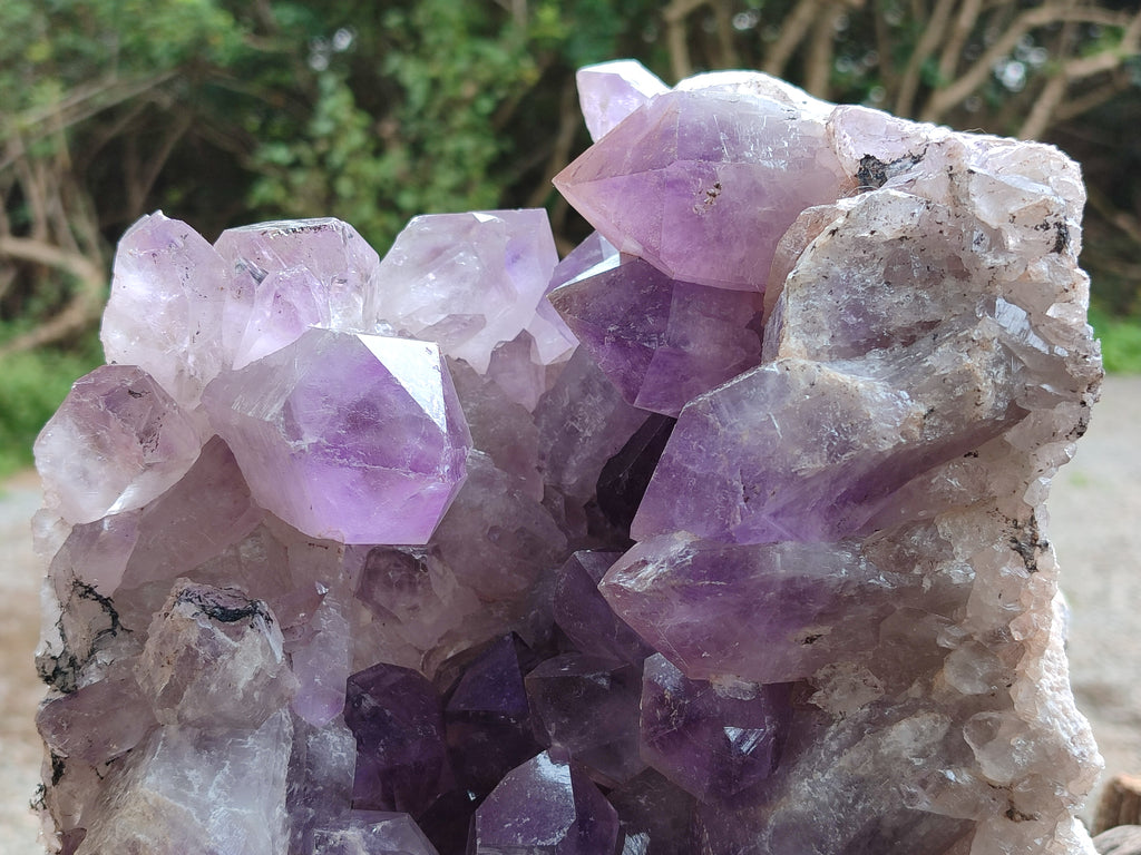 Natural Large Jacaranda Amethyst Quartz Cluster x 1 From Mumbwa, Zambia - Toprock Gemstones and Minerals 