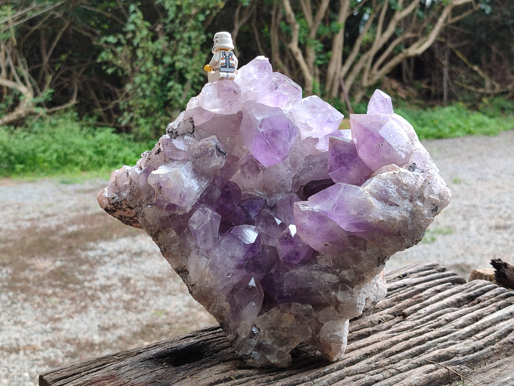 Natural Large Jacaranda Amethyst Quartz Cluster x 1 From Mumbwa, Zambia - Toprock Gemstones and Minerals 