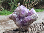 Natural Large Jacaranda Amethyst Quartz Cluster x 1 From Mumbwa, Zambia - Toprock Gemstones and Minerals 