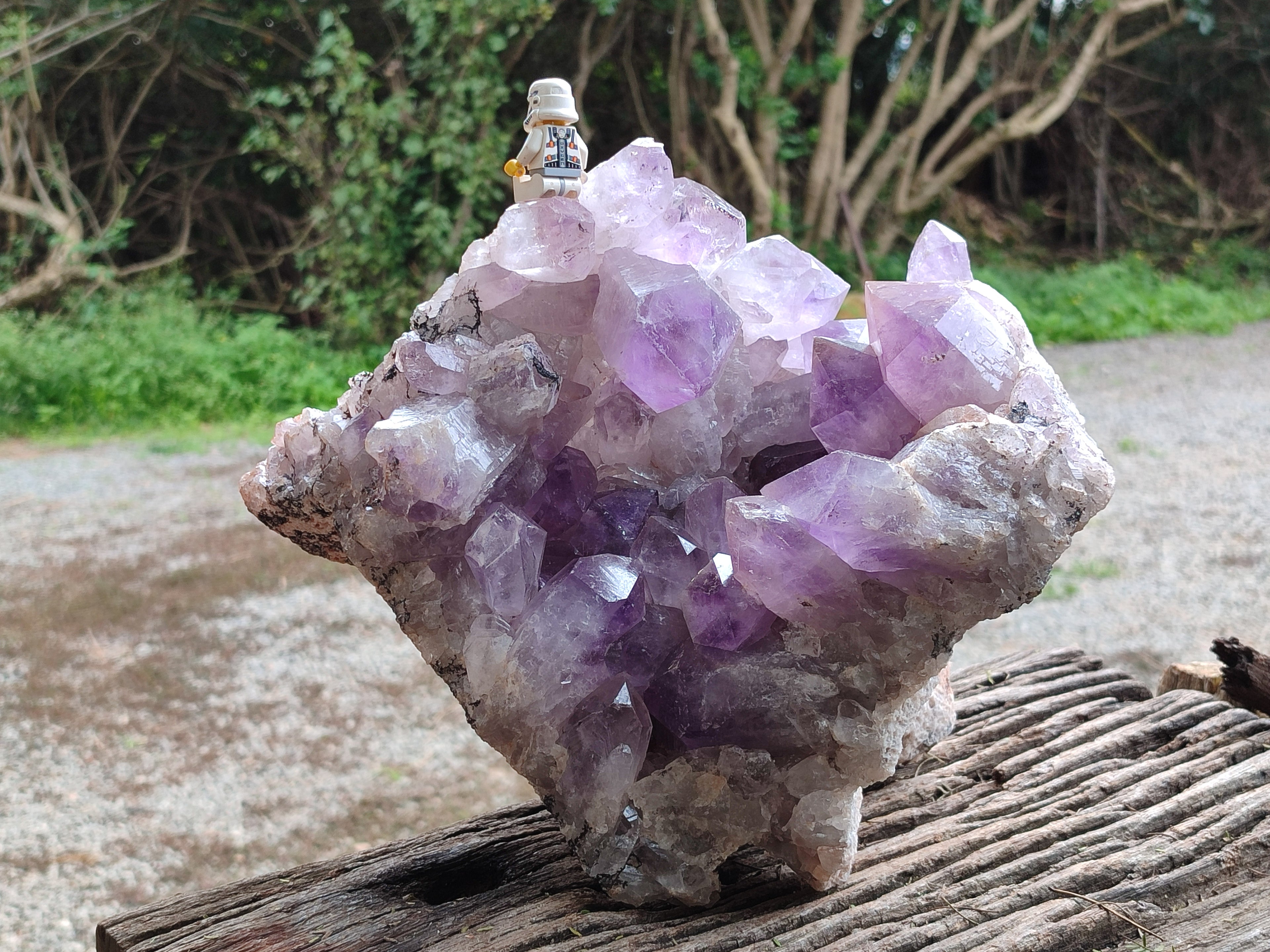 Natural Large Jacaranda Amethyst Quartz Cluster x 1 From Mumbwa, Zambia - Toprock Gemstones and Minerals 