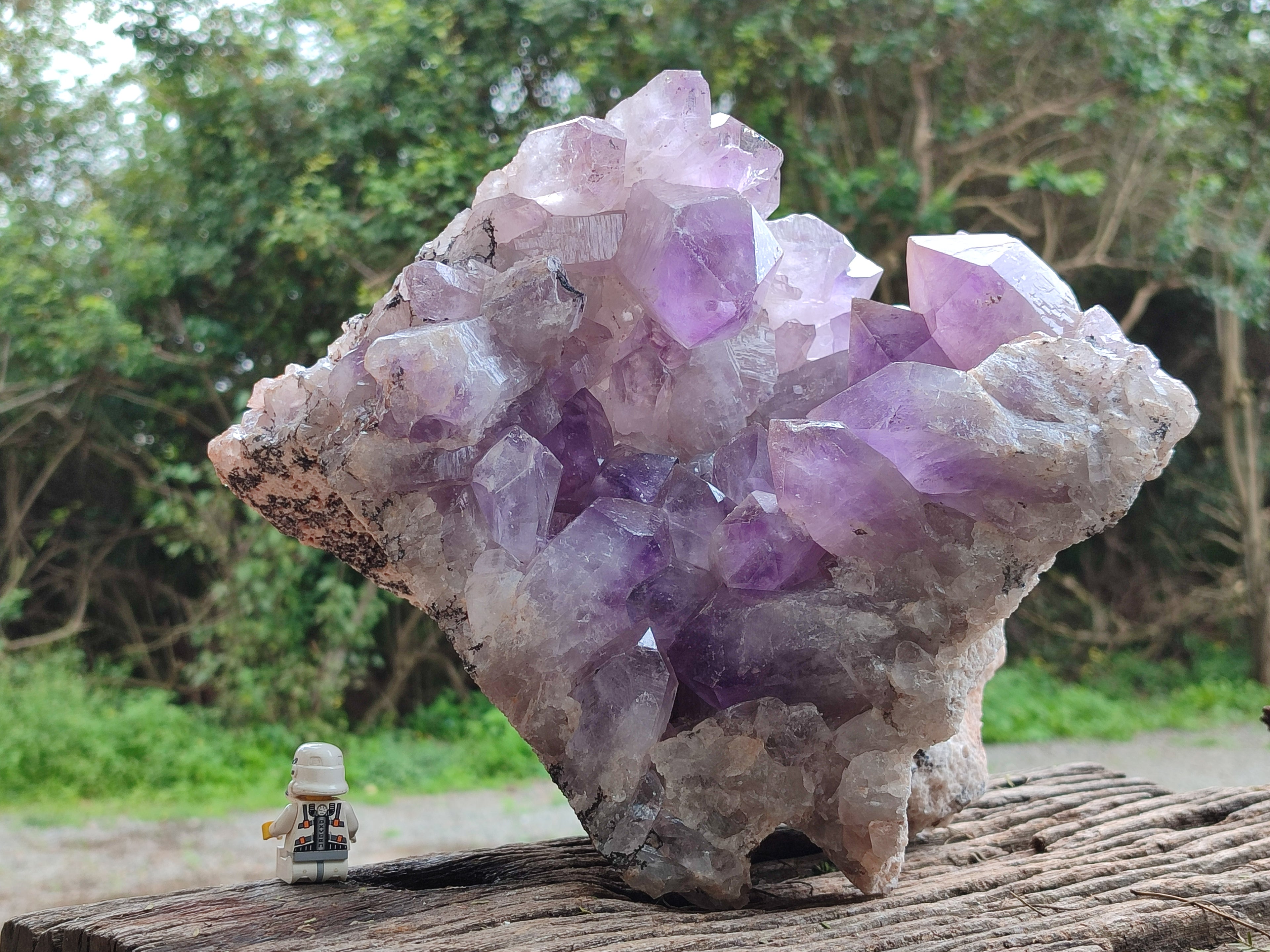 Natural Large Jacaranda Amethyst Quartz Cluster x 1 From Mumbwa, Zambia - Toprock Gemstones and Minerals 