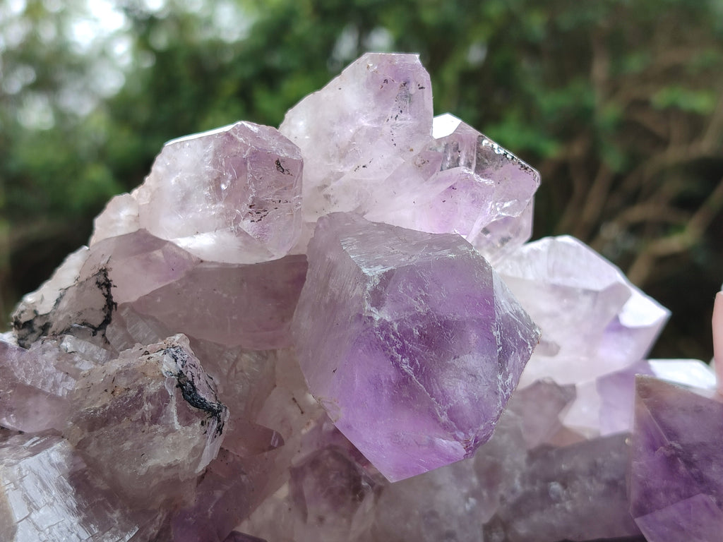 Natural Large Jacaranda Amethyst Quartz Cluster x 1 From Mumbwa, Zambia - Toprock Gemstones and Minerals 