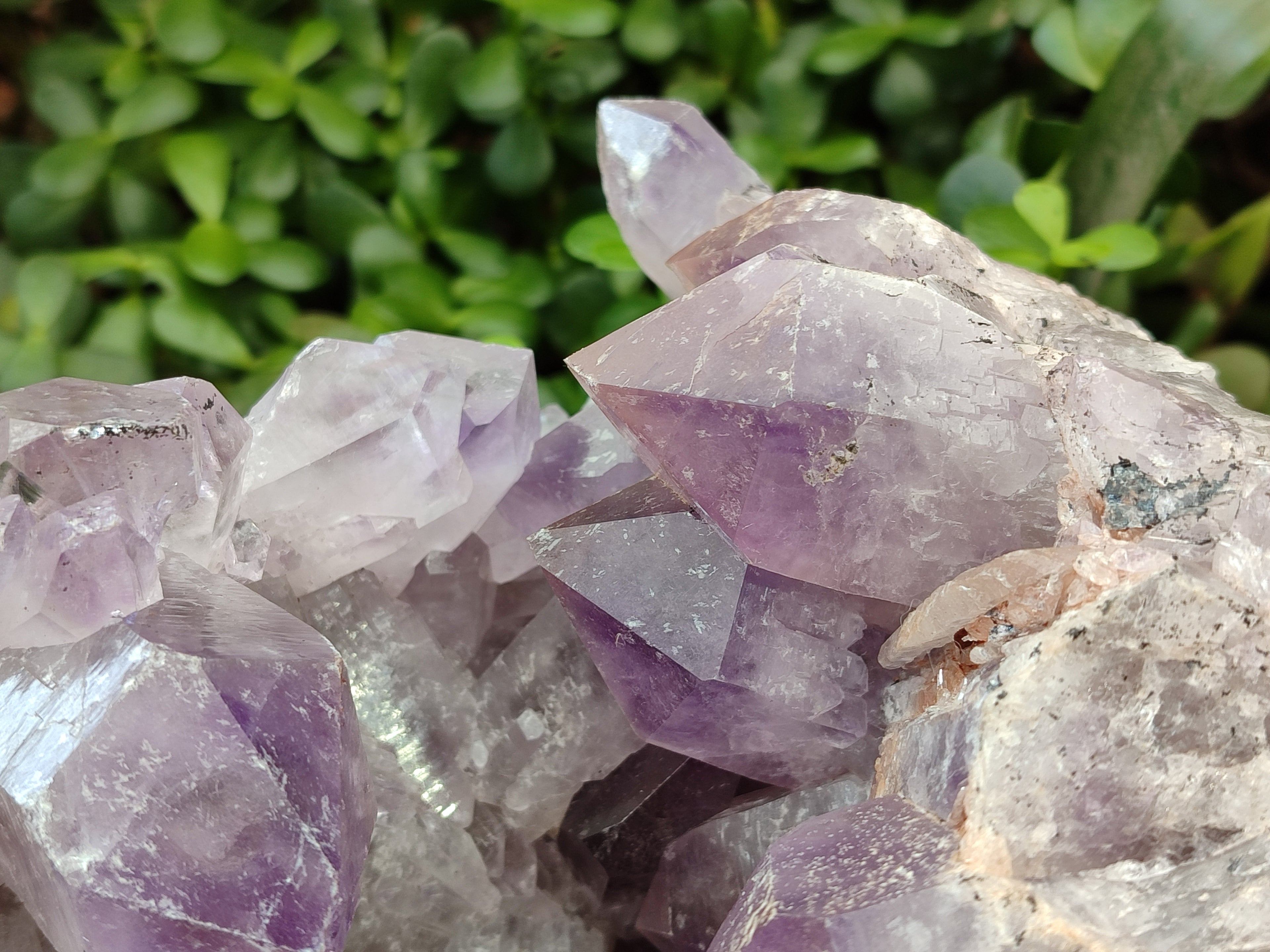 Natural Large Jacaranda Amethyst Quartz Cluster x 1 From Mumbwa, Zambia - Toprock Gemstones and Minerals 