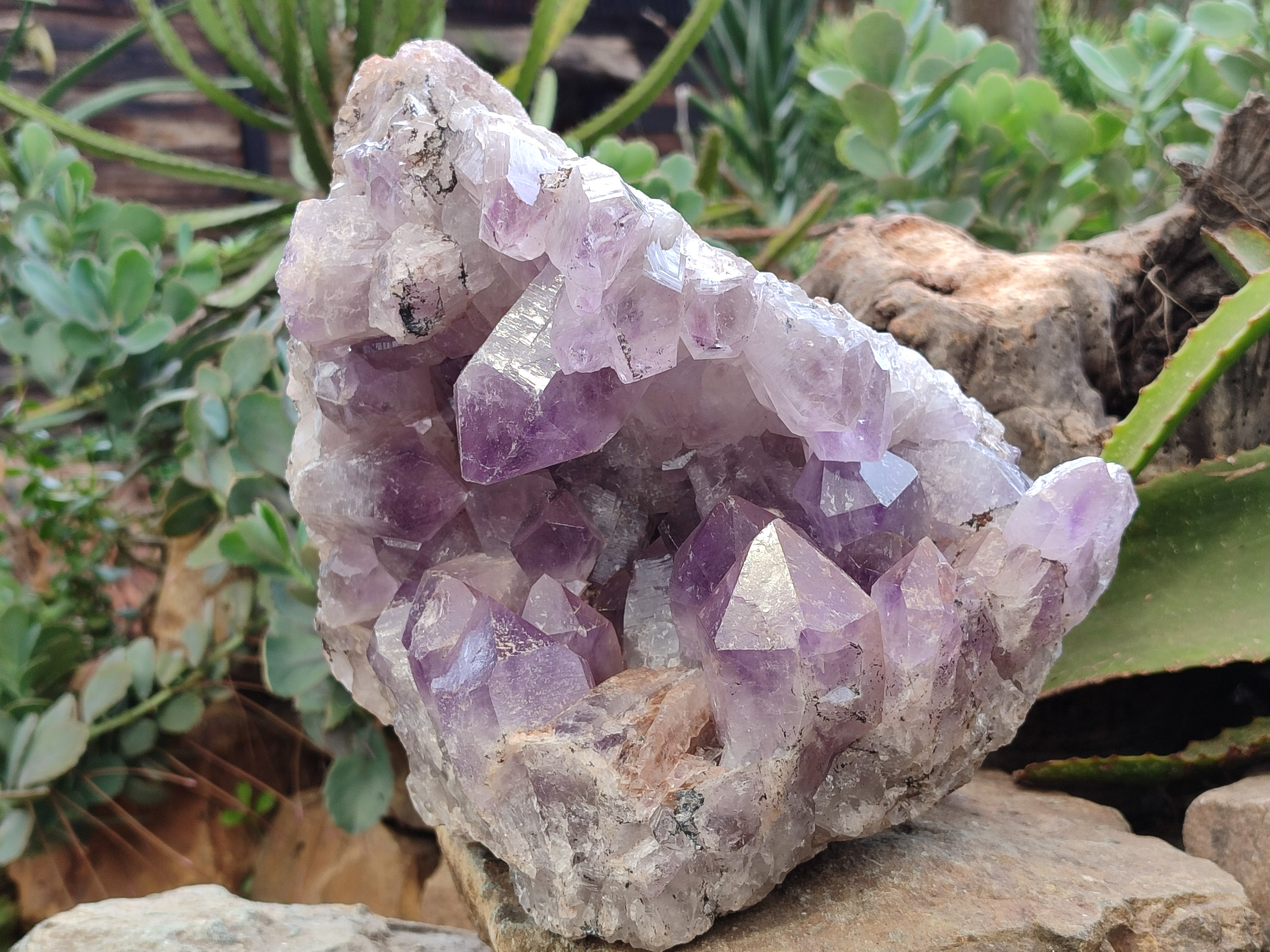 Natural Large Jacaranda Amethyst Quartz Cluster x 1 From Mumbwa, Zambia - Toprock Gemstones and Minerals 