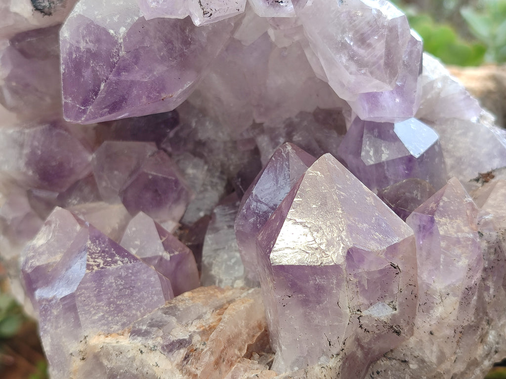 Natural Large Jacaranda Amethyst Quartz Cluster x 1 From Mumbwa, Zambia - Toprock Gemstones and Minerals 