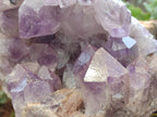 Natural Large Jacaranda Amethyst Quartz Cluster x 1 From Mumbwa, Zambia - Toprock Gemstones and Minerals 