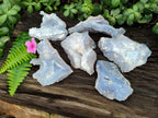 Natural Etched Blue Chalcedony Geodes x 6 From Nsanje, Malawi - Toprock Gemstones and Minerals 