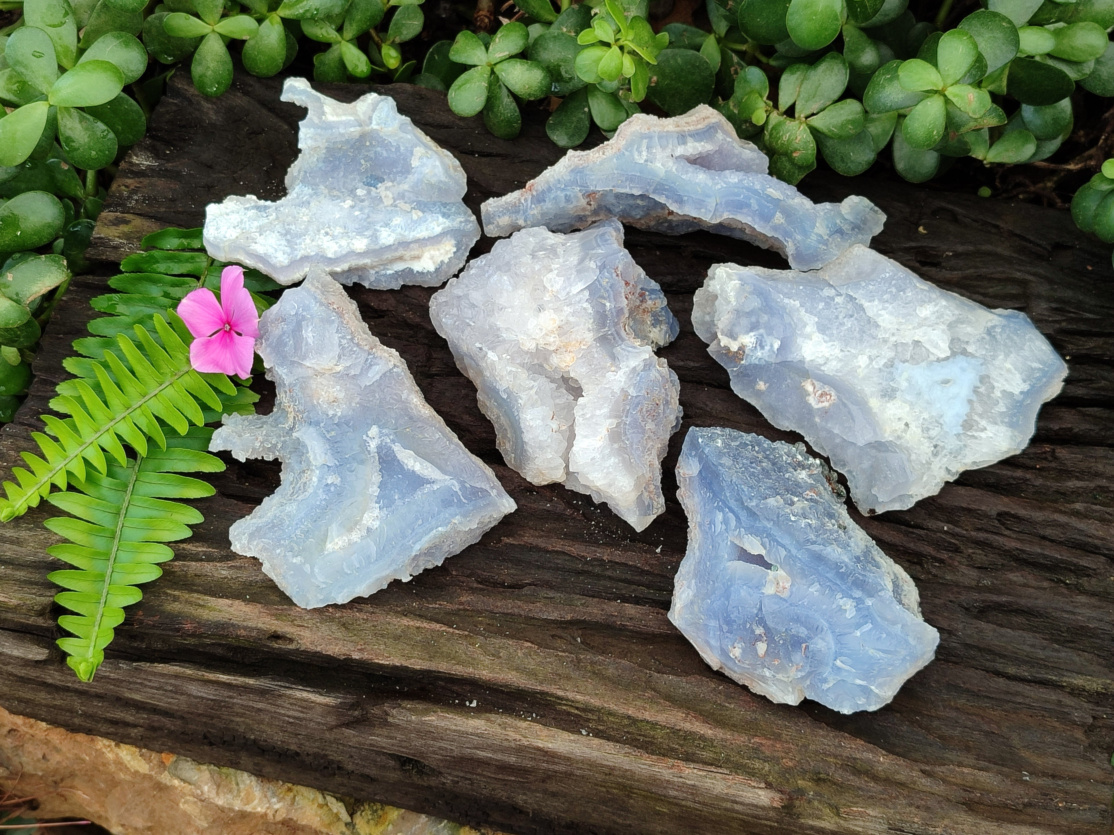 Natural Etched Blue Chalcedony Geodes x 6 From Nsanje, Malawi - Toprock Gemstones and Minerals 