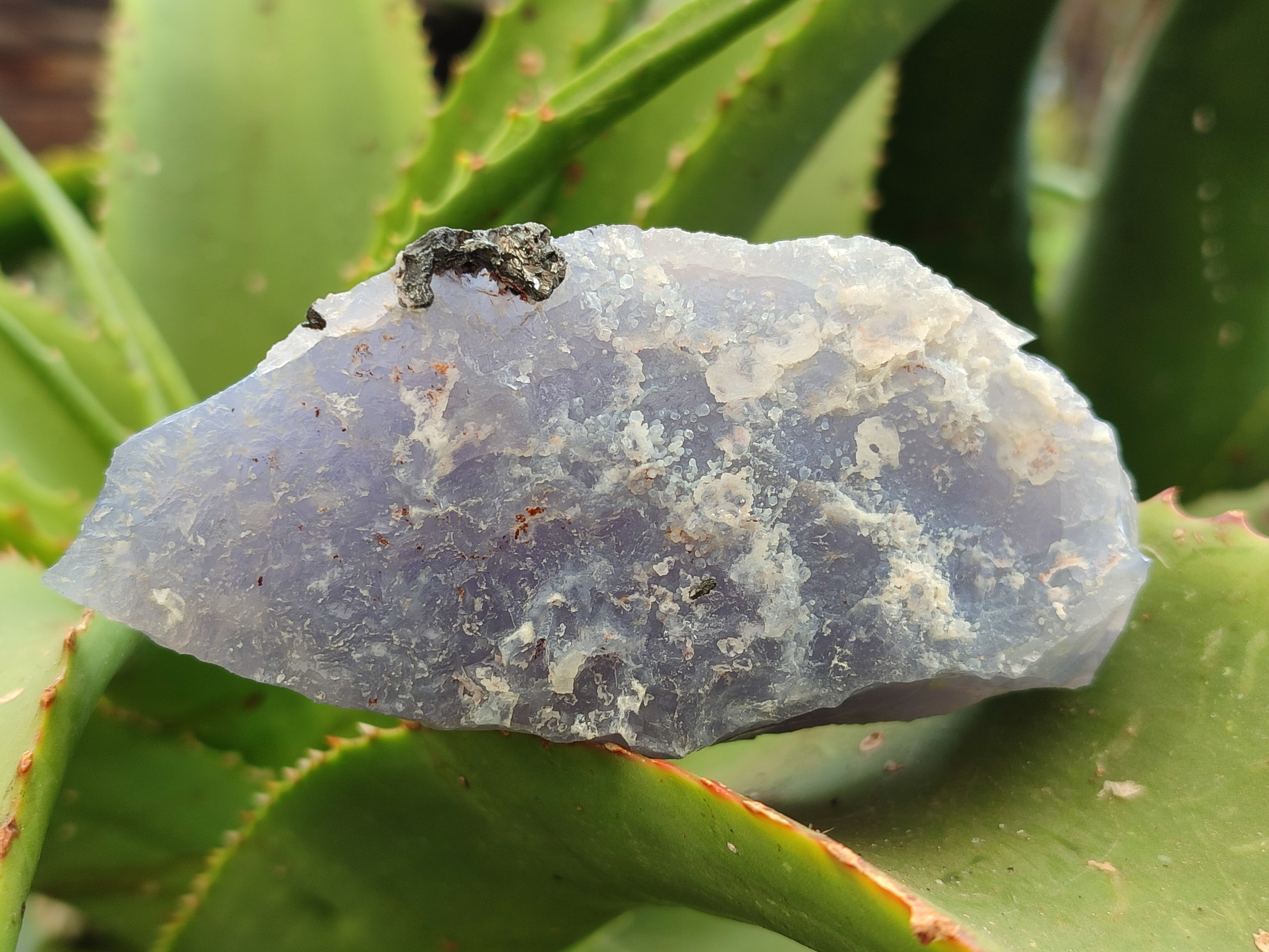 Natural Etched Blue Chalcedony Geodes x 6 From Nsanje, Malawi - Toprock Gemstones and Minerals 