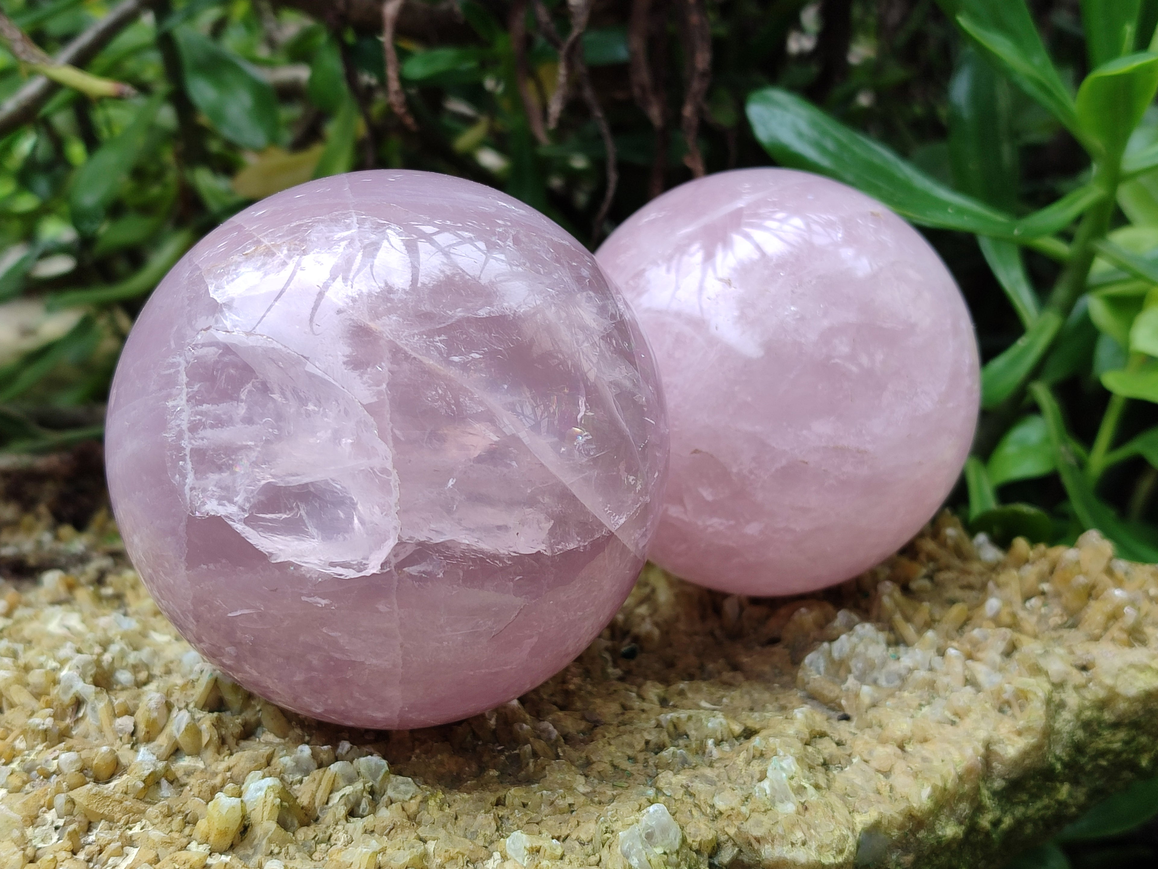 Polished Rose Quartz Spheres x 2 From Ambatondrazaka, Madagascar - Toprock Gemstones and Minerals 