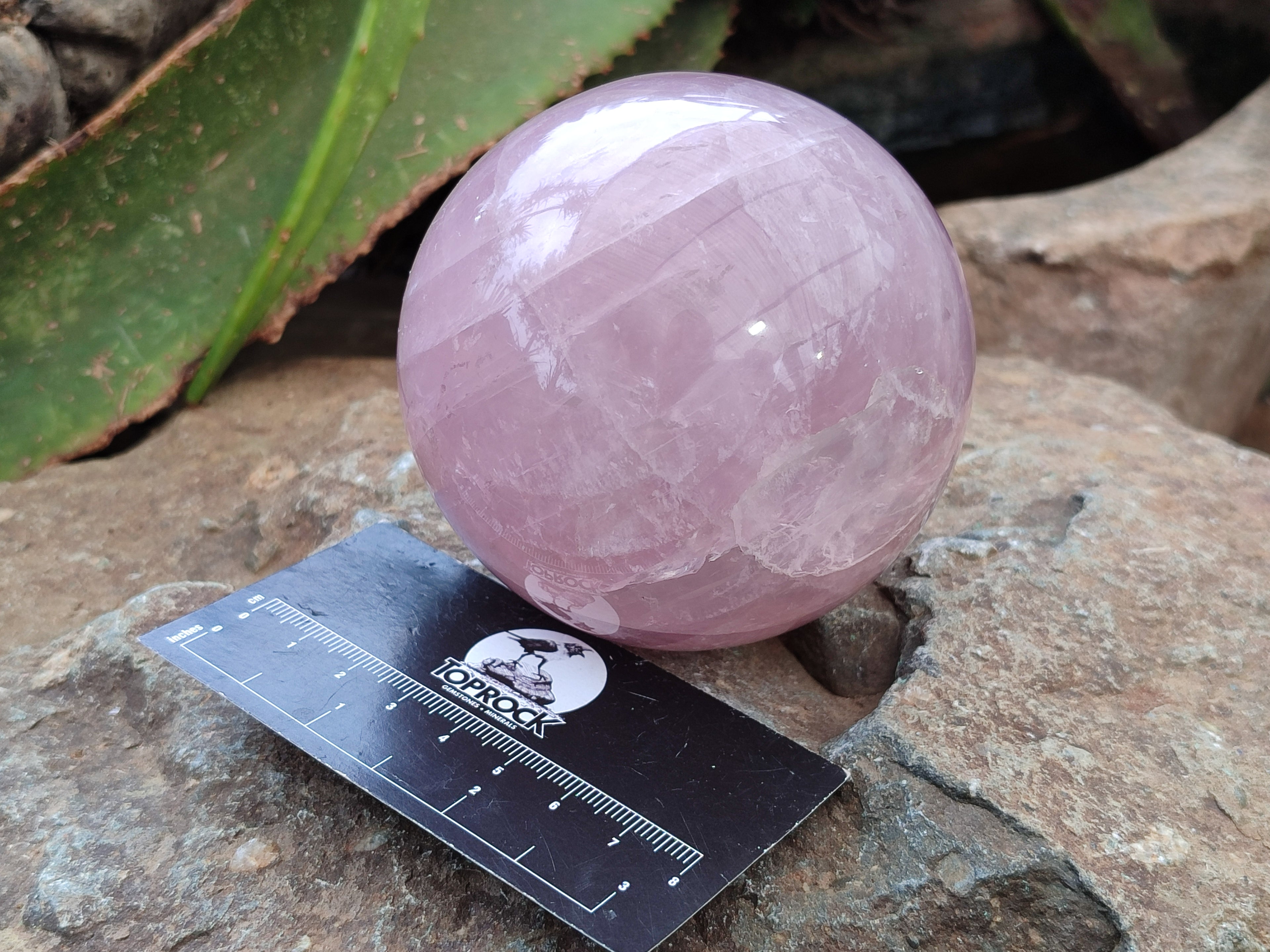 Polished Rose Quartz Spheres x 2 From Ambatondrazaka, Madagascar - Toprock Gemstones and Minerals 